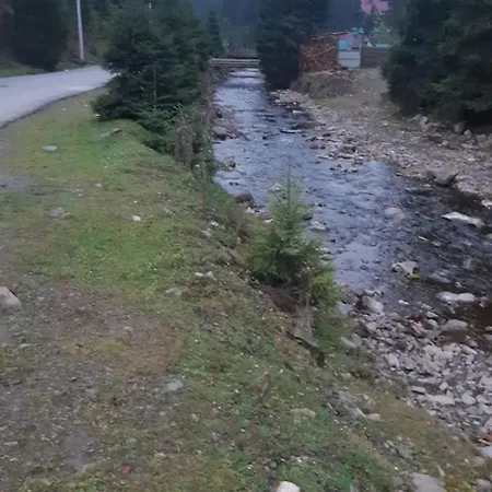 ліова тиша номер - 3 아파트 *